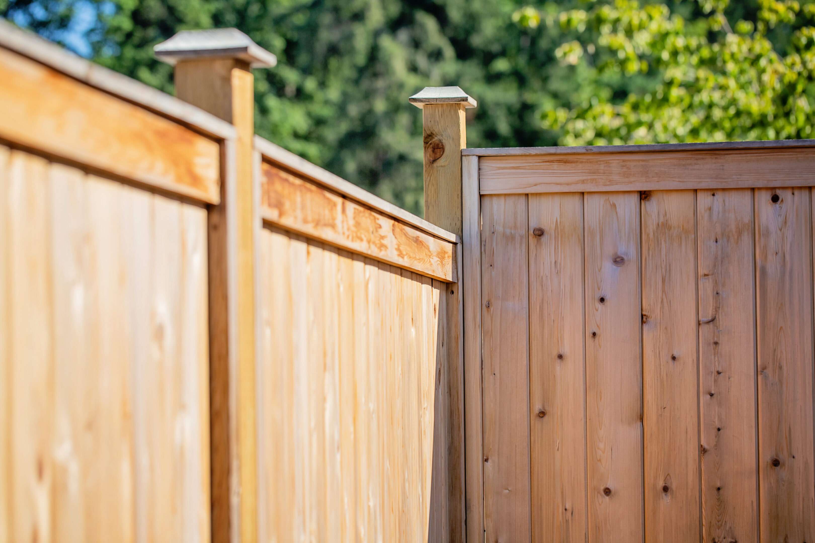 Untreated cedar fence